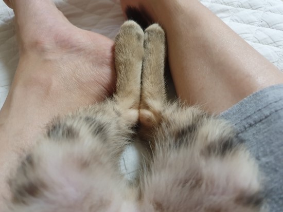  치명적