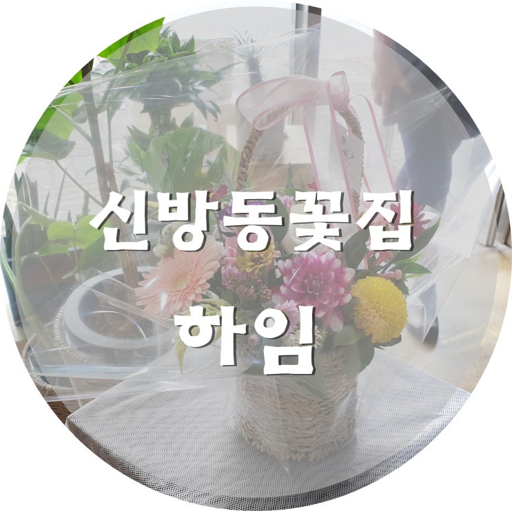  신방동꽃집 하임 미니꽃바구니 예쁘네