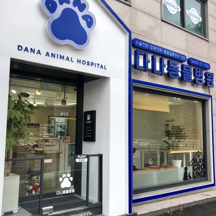 매탄동동물병원: 다나동물병원에서 강아지 건강검진하기
