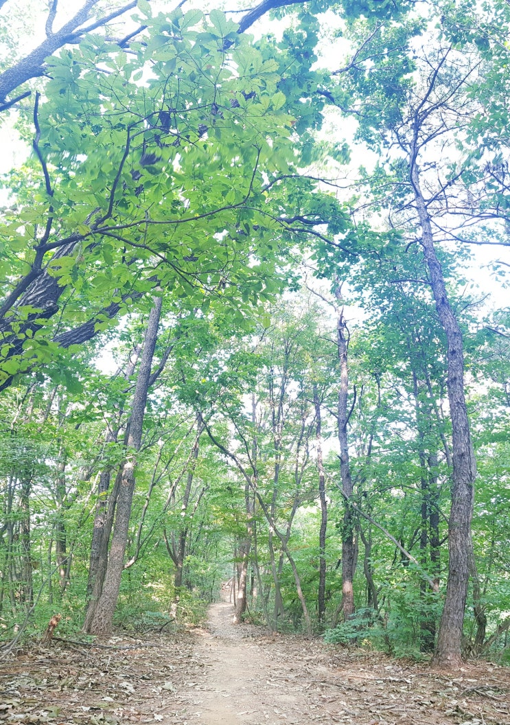  수리산 둘레길을 다녀왔습니다.