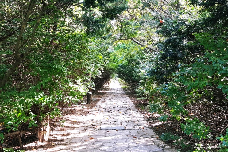  파주 벽초지 수목원 나들이