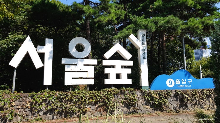 서울숲 공원 산책 - 주차장 정보, 서울 피크닉장소 추천 서울숲 공원 산책 - 주차장 정보, 서울 피크닉장소 추천