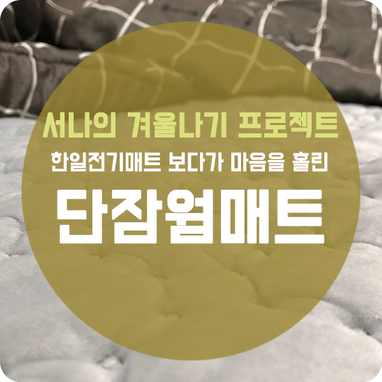  한일전기장판 보다가 단잠웜매트 선택한 사연