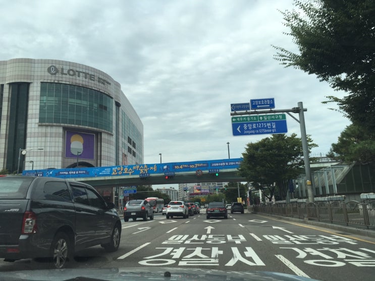 일산에 운전연수를 신청한다면~