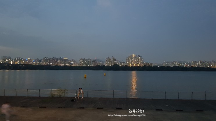 서울 나들이, 여의도 한강, 밤도깨비야시장