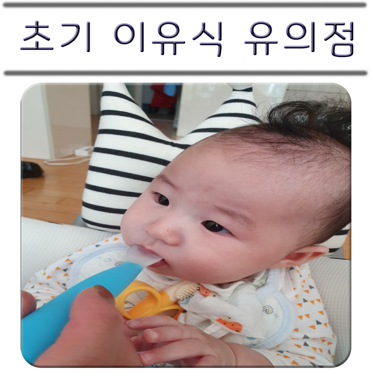  초기 이유식 유의점 7가지 / 초기 이유식 1단계