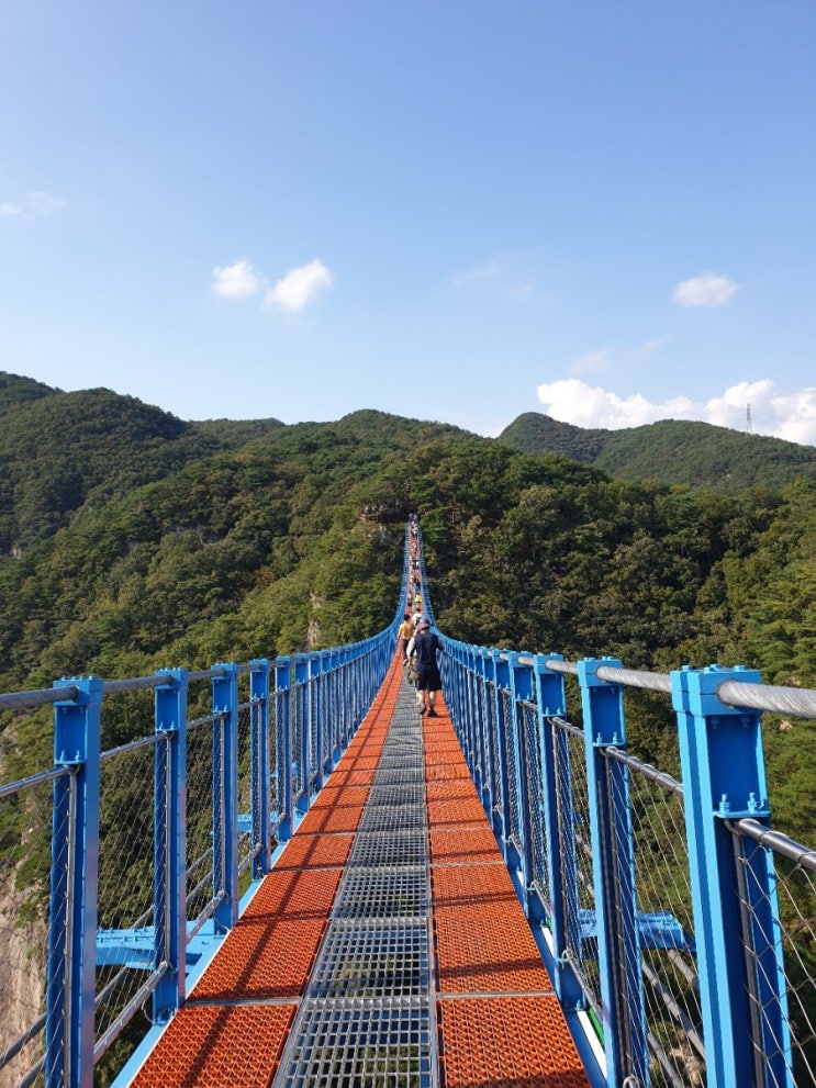  원주) 소금산출렁다리