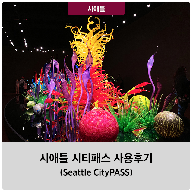  시애틀 시티패스 사용방법 및 구입안내 (스페이스니들, 치훌리가든, 아르고시 크루즈, 시애틀 아쿠아리움)