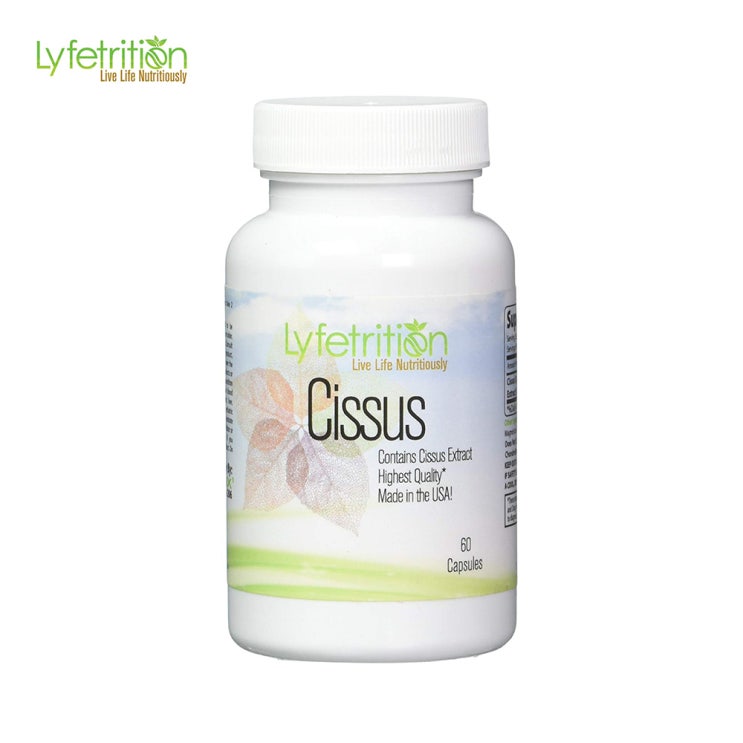  lyfetrition 시서스 1600mg 다이어트 관절 60캡슐, 단품