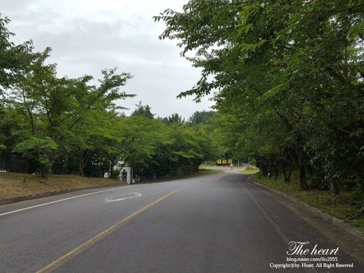  자격증 : ) 1종 보통 운전면허 취득기 :: 필기 + 장내기능시험