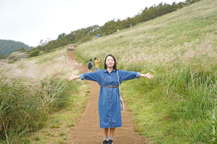  [2박3일 제주 태교여행 : 제주 맛집] 가을 억새 가득한 새별오름 전망의 분위기 좋은 새빌 카페 / 포도호텔 레스토랑에서 우동 먹기 / 제주시민속오일시장 / 전복돌솥밥