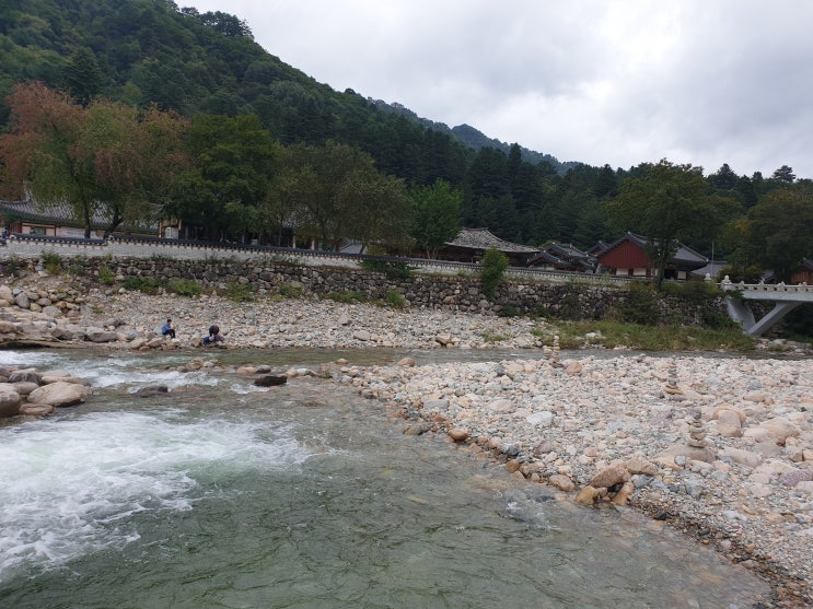  인제 백담사 단풍구경 가기 딱 좋을 것 같아요 경치가 예술