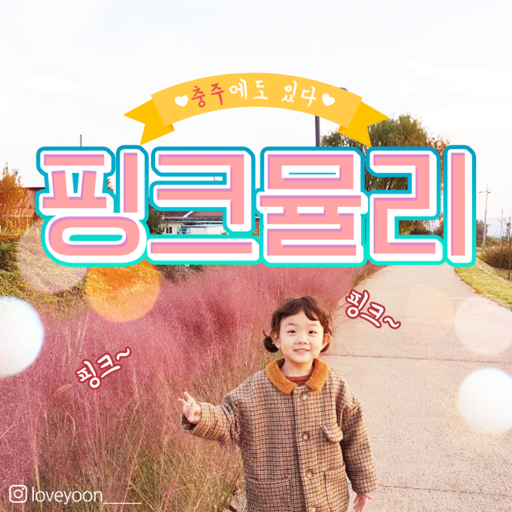  충주 봉방동 하방마을에서 만나는 핑쿠핑쿠한 핑크뮬리!