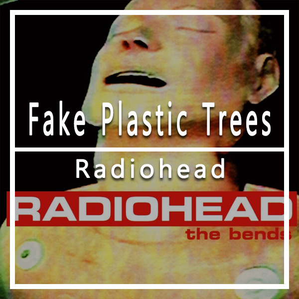  의정부 뮤직트리 실용음악학원  'Radiohead - Fake Plastic Trees'  오늘의 선곡