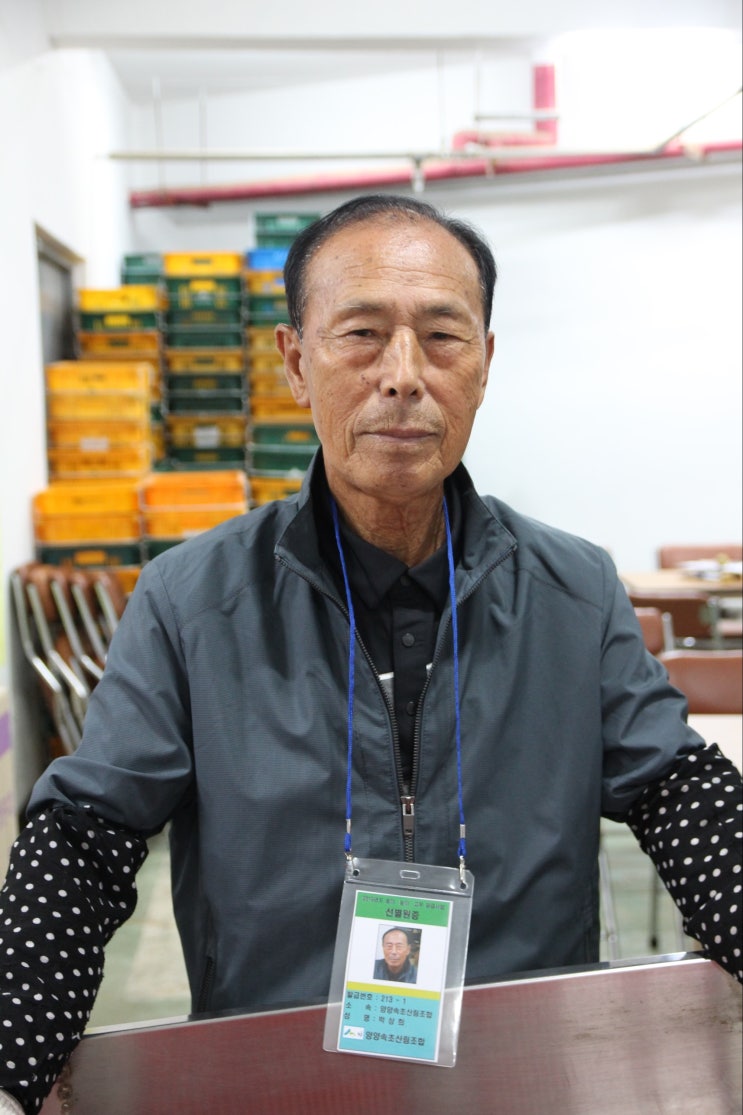  전국 최고 품질의 양양 송이,  그 명성을 지키기 위해