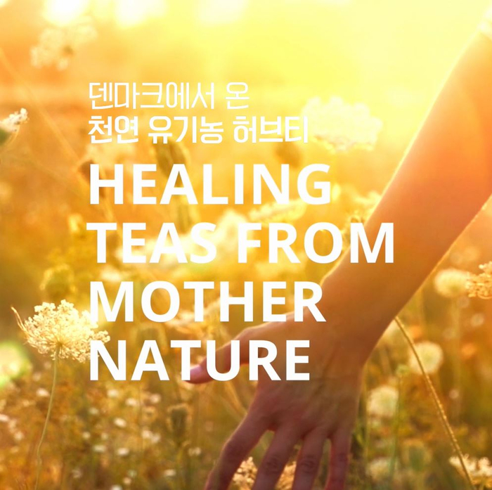  티타임은 간편하게 허브 & 티브루어!