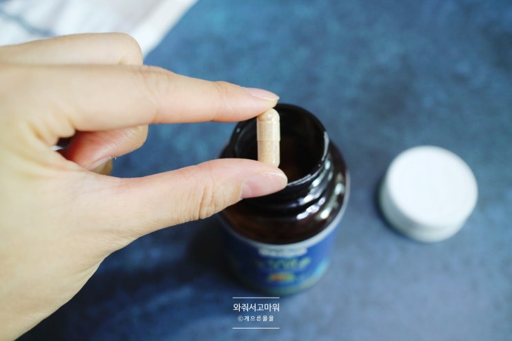  블루검 굿모닝 밀크씨슬 호주 프리미엄 건강기능식품