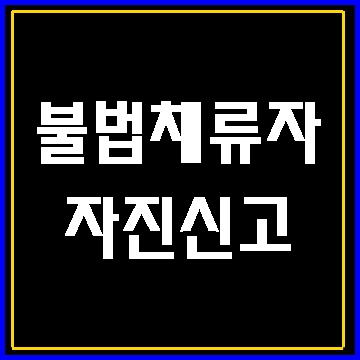  불법체류자의 자진신고 방법에  대해 알아보기(대구 행정사)