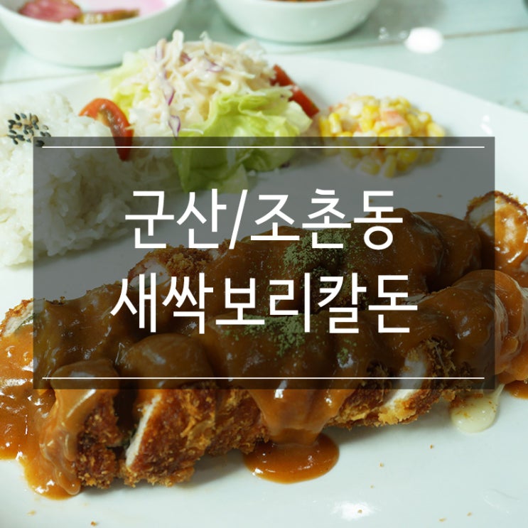 조촌동 맛집<새싹보리칼돈> 칼국수&돈가스 군산시청 근처 숨은 맛집!! 조촌동 맛집<새싹보리칼돈> 칼국수&돈가스 군산시청 근처 숨은 맛집!!