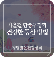 선선한 가을철 단풍구경과 등산 건강하게 하는 방법 알아보기