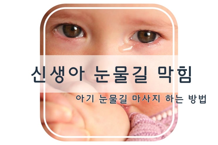  눈물길 폐쇄로 눈물, 눈꼽 생기는 아기, 신생아 눈물샘 마사지 하는 방법