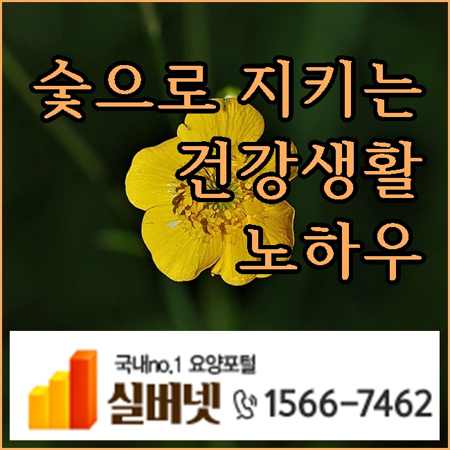  숯으로 지키는 건강생활 노하우