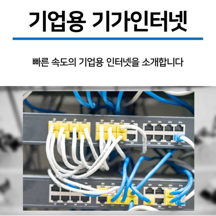  기업용기가인터넷 이용하면 업무 효율성도 올라가요