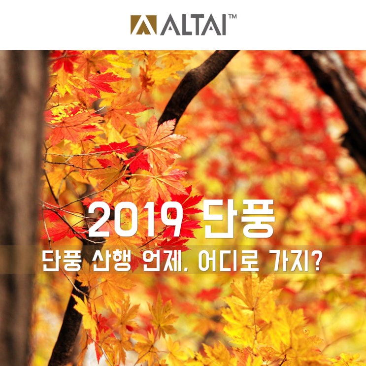  2019년 단풍시기 명소 알고 등산가자