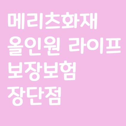  올인원 라이프보장보험 장단점