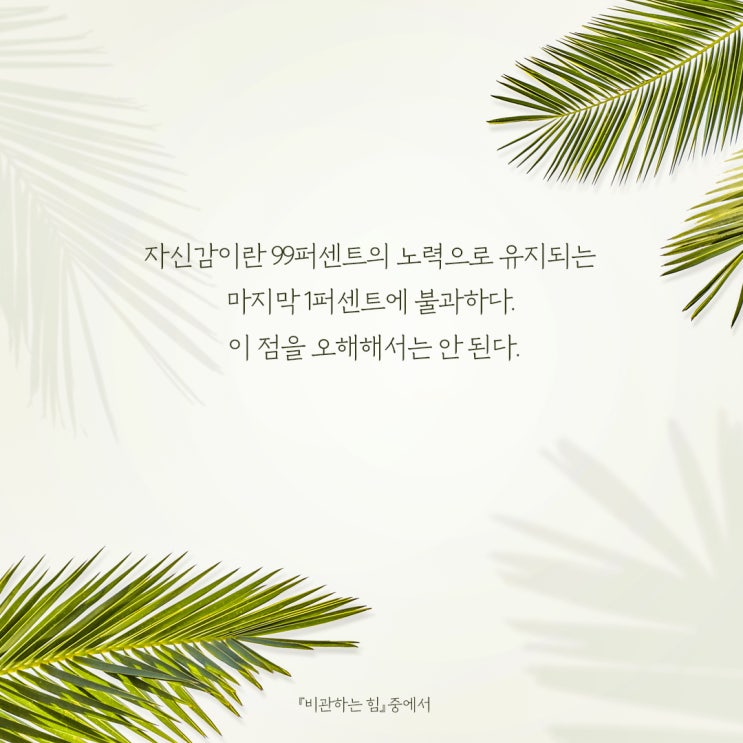  꿈을 키우는 것은 비관이고 기대를 크게 하는 것도 비관이다.