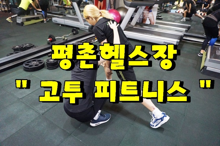  평촌헬스장 고투 피트니스에서 재밌게 운동하자