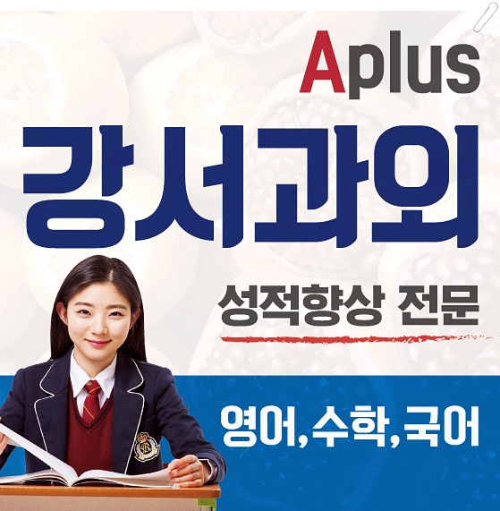  강서구 수학과외 차근차근 가양동 마곡동 영어과외 화곡 국어 학생맞춤 코칭