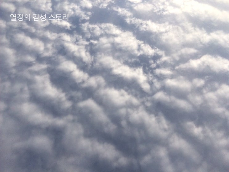  오늘 그리고 내일 통영/거제 날씨 2019.10.08(미세먼지 좋음 14/)