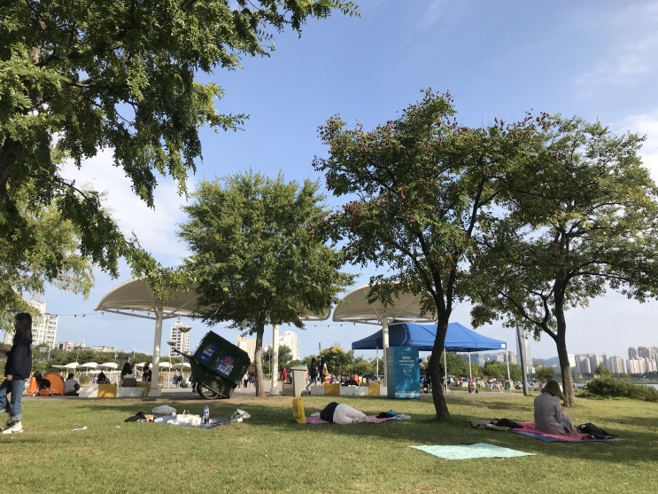  뚝섬 한강공원에서 돗자리깔고 가장맛있는족발 먹은 후기