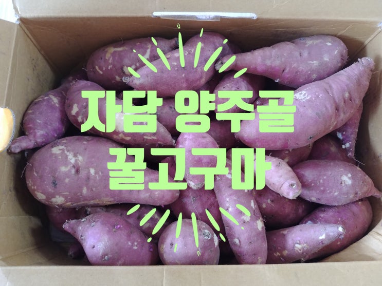 [고구마 요리] 식품 건조기로 간단 고구마 말랭이 만들기, 자담 양주골 꿀고구마
