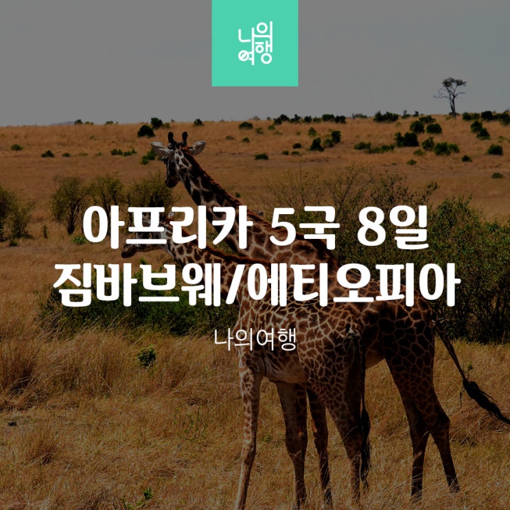  아프리카 짐바브웨 보츠와나 남아공 에티오피아 잠비아 여행 패키지 5국 8일