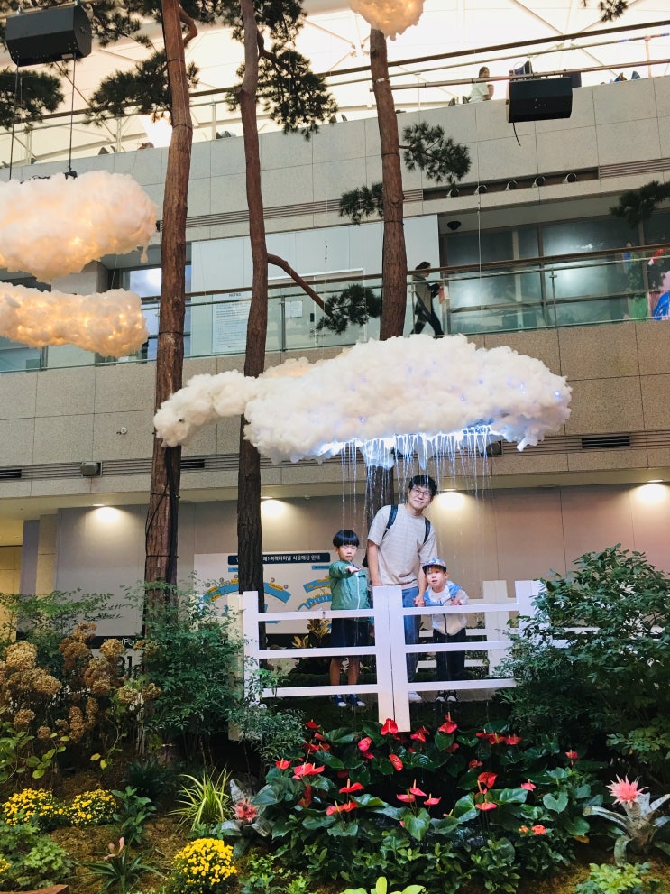  인천국제공항 일반구역 / 에어스타무료사진 / 짐보관소 / 제주항공티켓팅, 수하물위탁 / 태국유심 / 밀레니엄홀문화공연 / 롯데리아