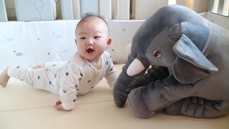 아기 애착인형 코블리 기프트앤돌 대형코끼리