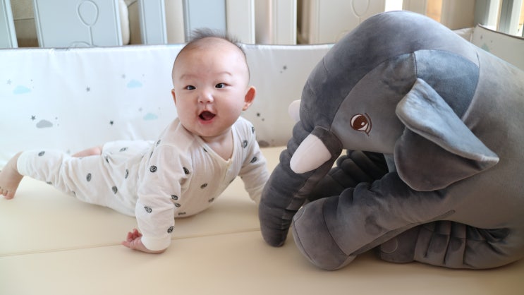  아기 애착인형 코블리 기프트앤돌 대형코끼리