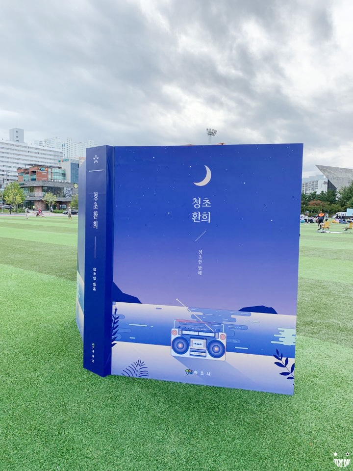  속초 빛축제 청초환희