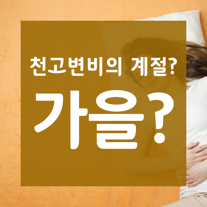  변비의 계절 가을?