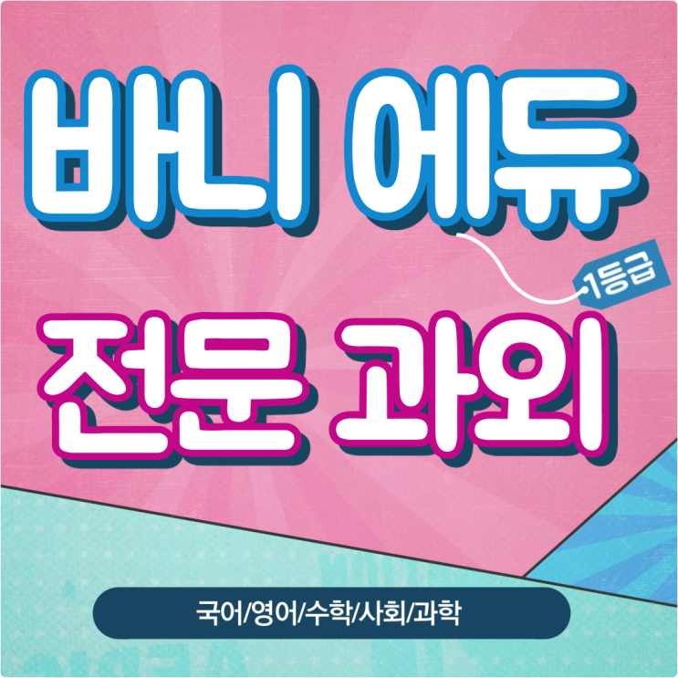  김포 통진 수학과외 양촌 국어과외 실력 좋은 초등 영어강사 솔터마을 방문수업 사회,과학 내신까지 함께 합니다.