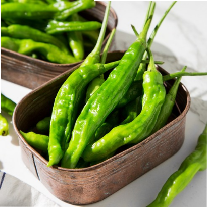  (37% 할인)친환경 꽈리고추일단 사고생각하자!