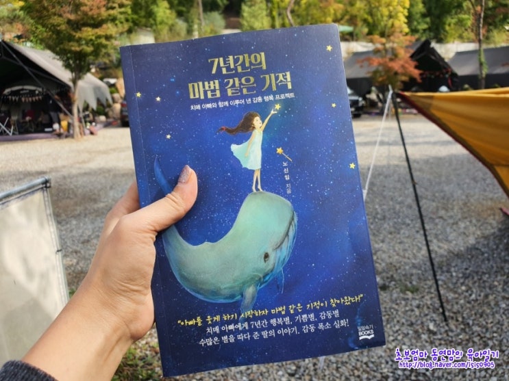  신간 에세이 7년간의마법같은기적