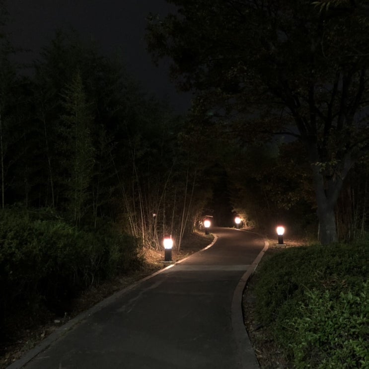  19.10-1 : 일산좋아