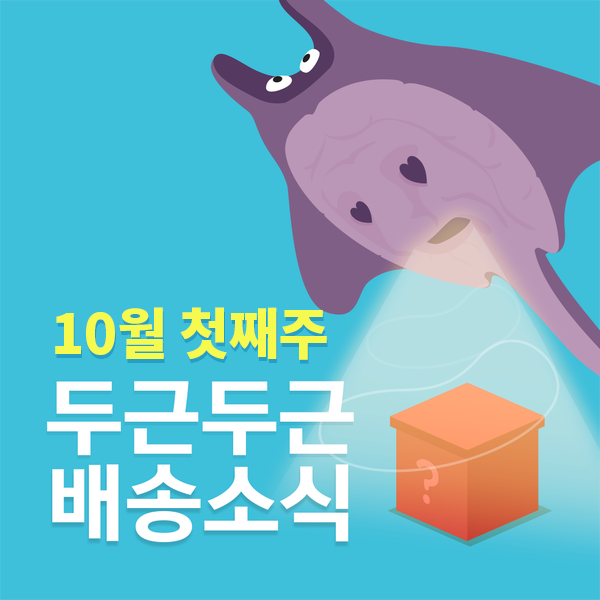  [랜덤투유] 배송소식! 10월 1주차 랜덤박스 배송소식 리스트 공개!