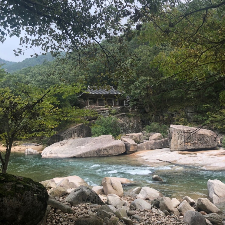  [충북/괴산] 눈부신아침펜션 // 1박2일 계곡 여행