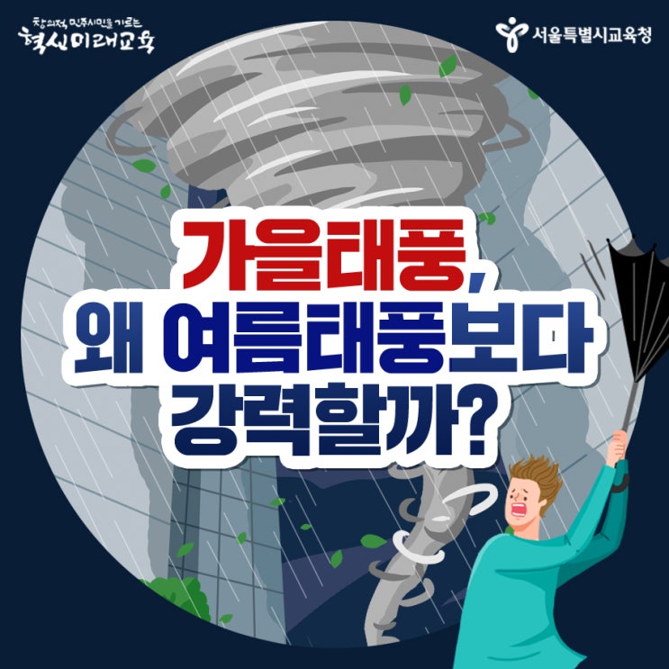  #하기비스 #미탁 #링링 가을태풍, 왜 여름태풍보다 강력할까? 가을태풍의 진실