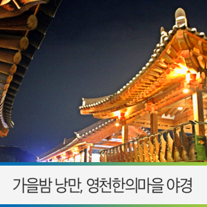  영천 야경 / 낮보다 빛나는 야경 명소 영천한의마을로 가을밤 나들이~