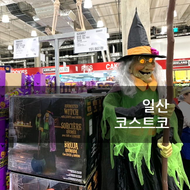 일산 코스트코 10월 휴무일, 할인상품